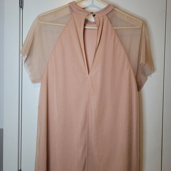 Forever 21 Pink Gold Mesh Short Dress - Picture 3 of 4